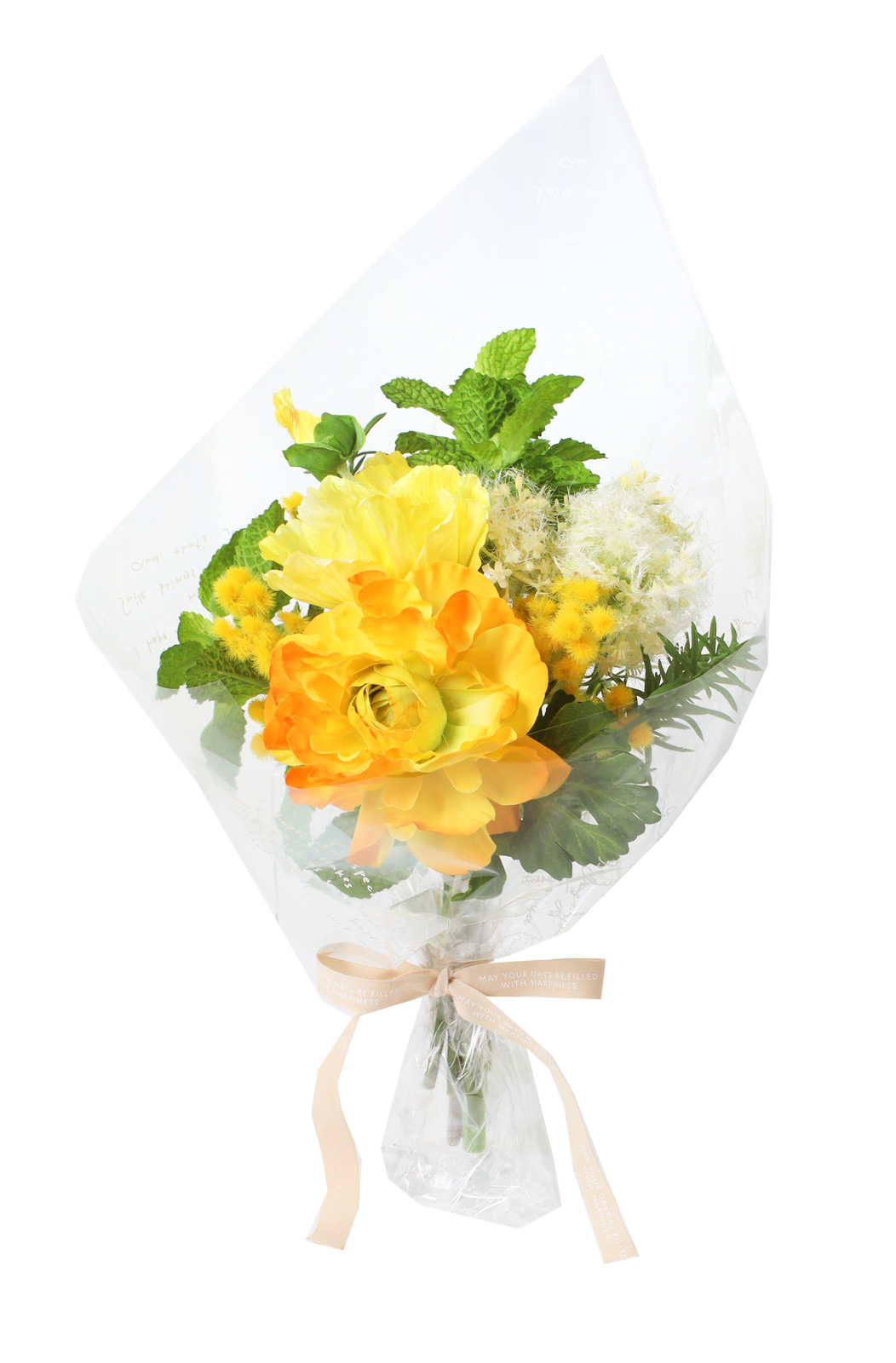 ���ް� M �ӻ�