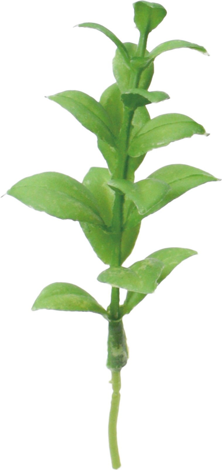 ����く900 ٽ���߯�20P���