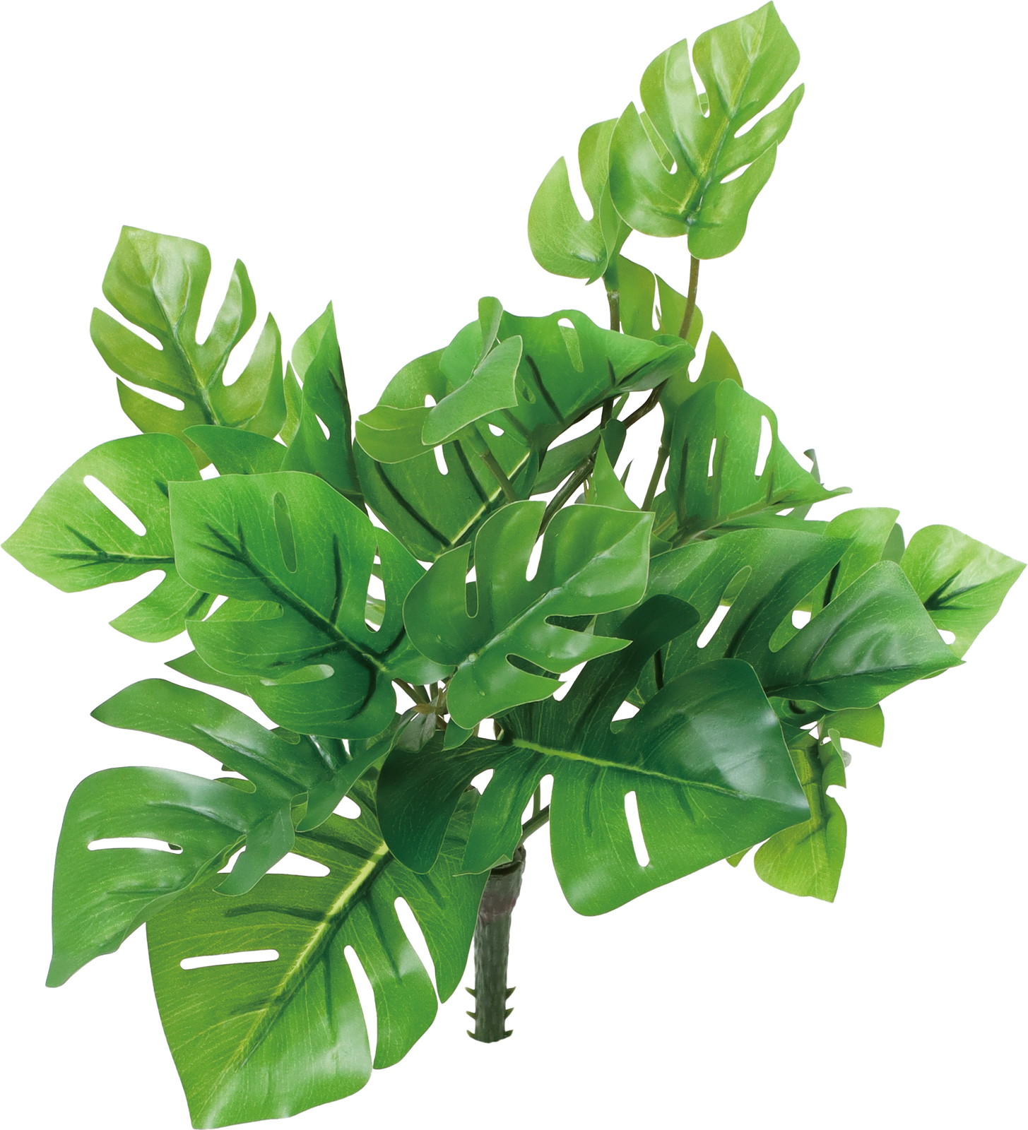 ���ݽ���ޯ��