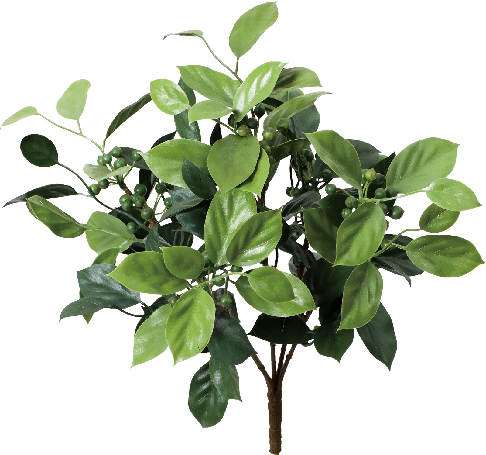 アイビーベリーブッシュ