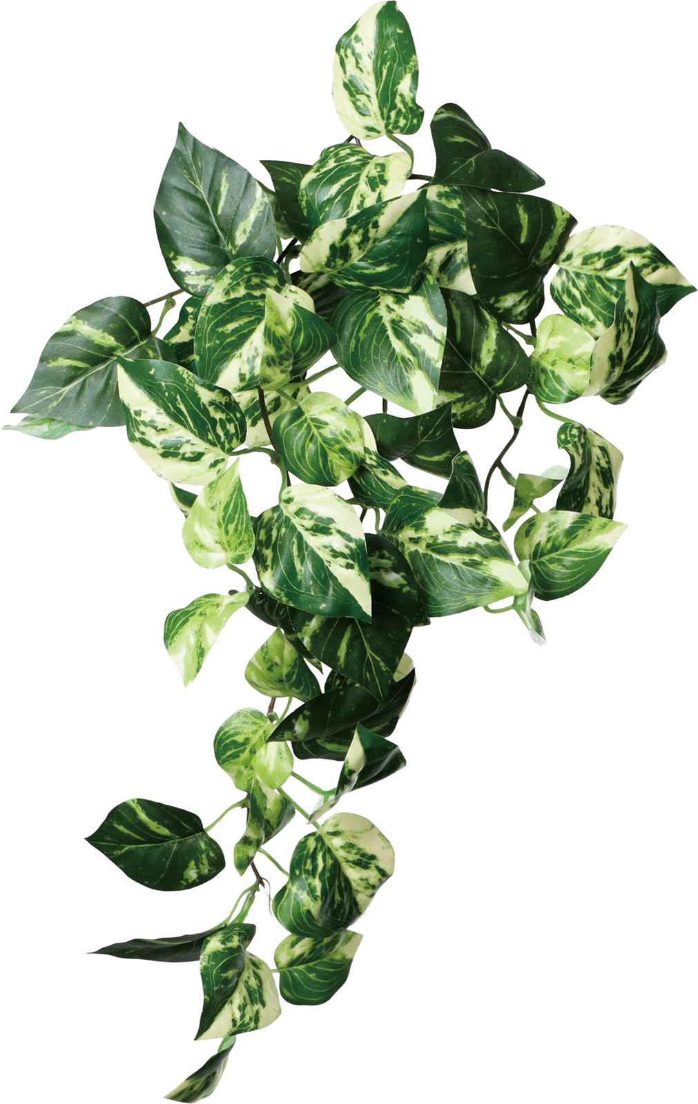 リサイクルポトスブッシュ