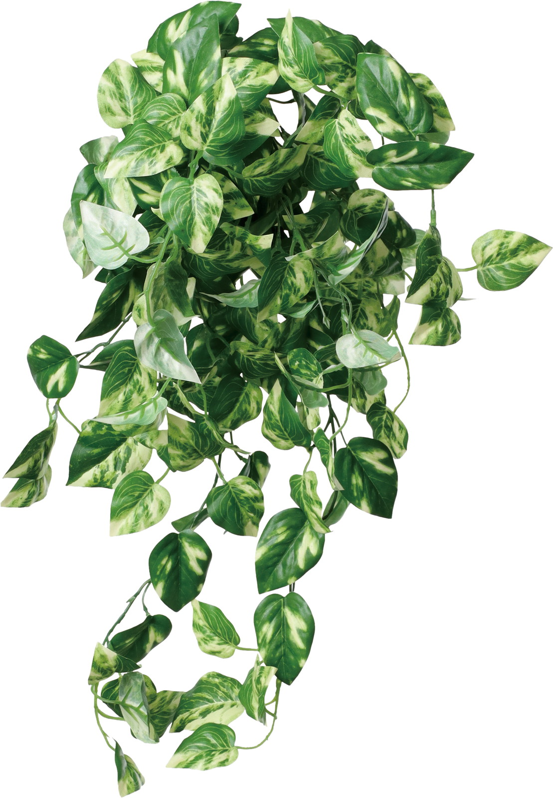 リサイクルポトスブッシュ