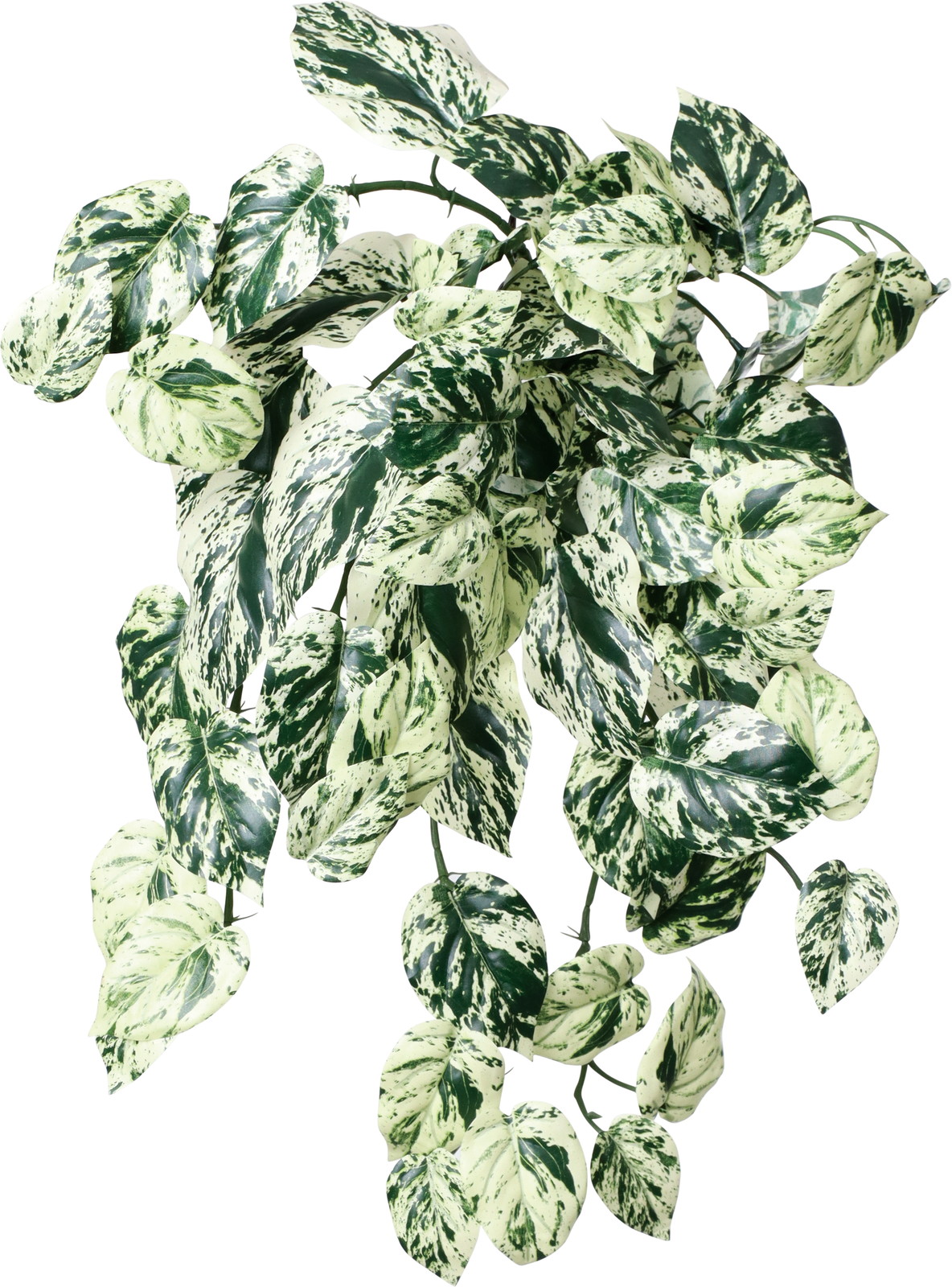 ػ���ϰ�����Ľ�ޯ��