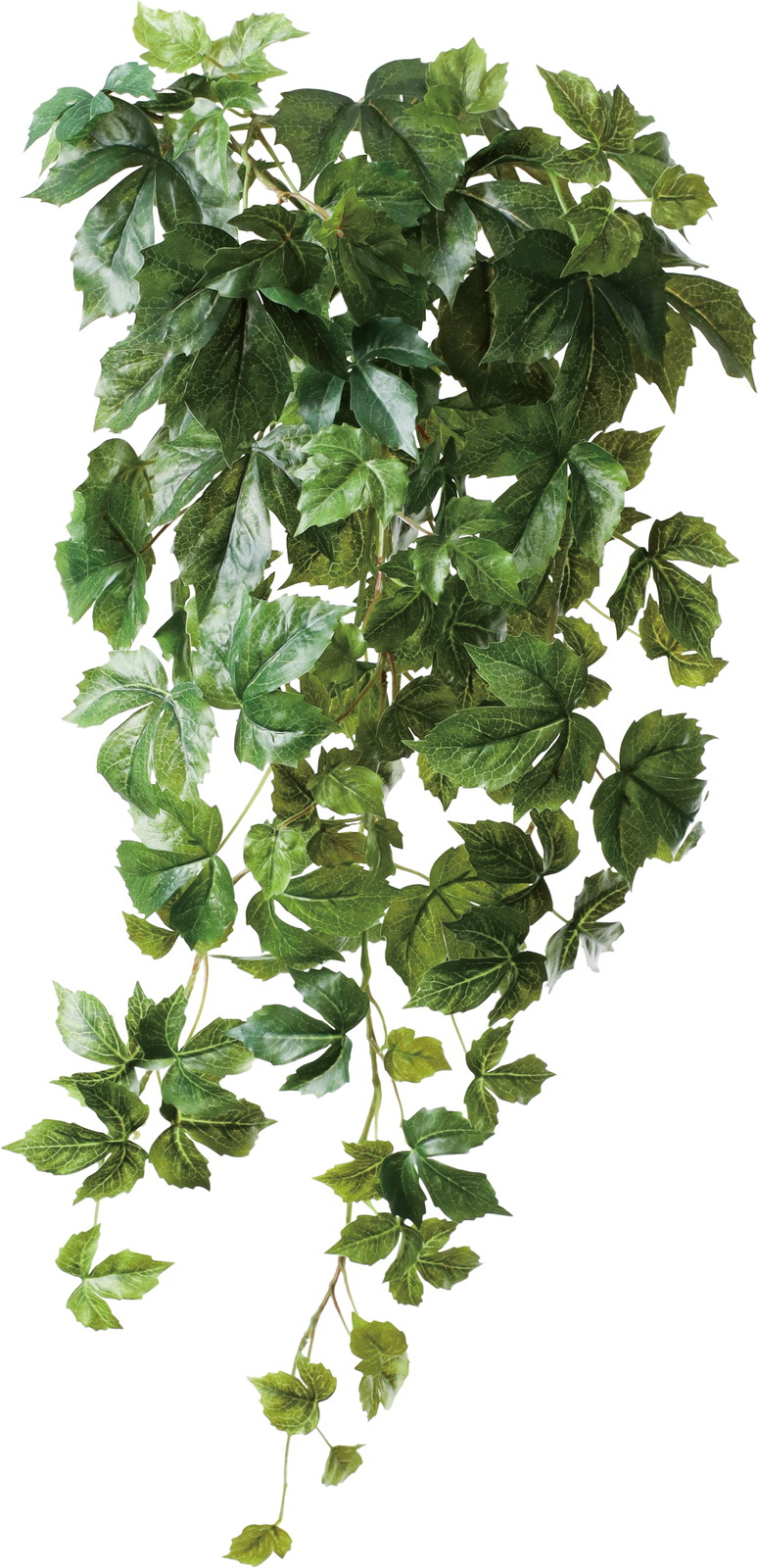 ����く2300 �����ƶ�ݶް