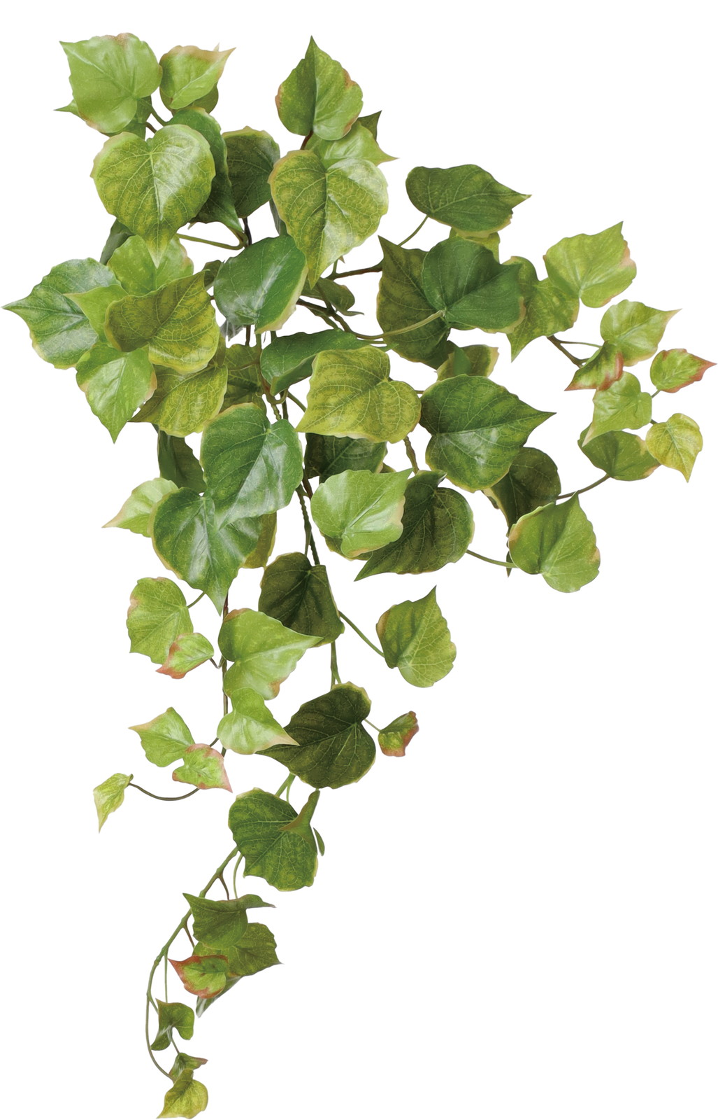 元上代¥1200 コットンウッドハンガー