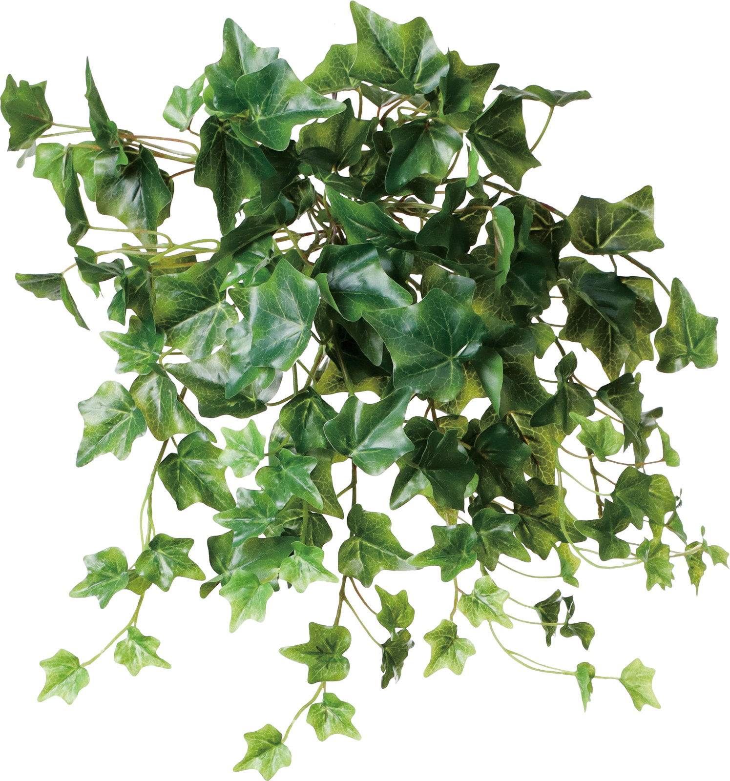 ����く2200 ���ް�ޯ��