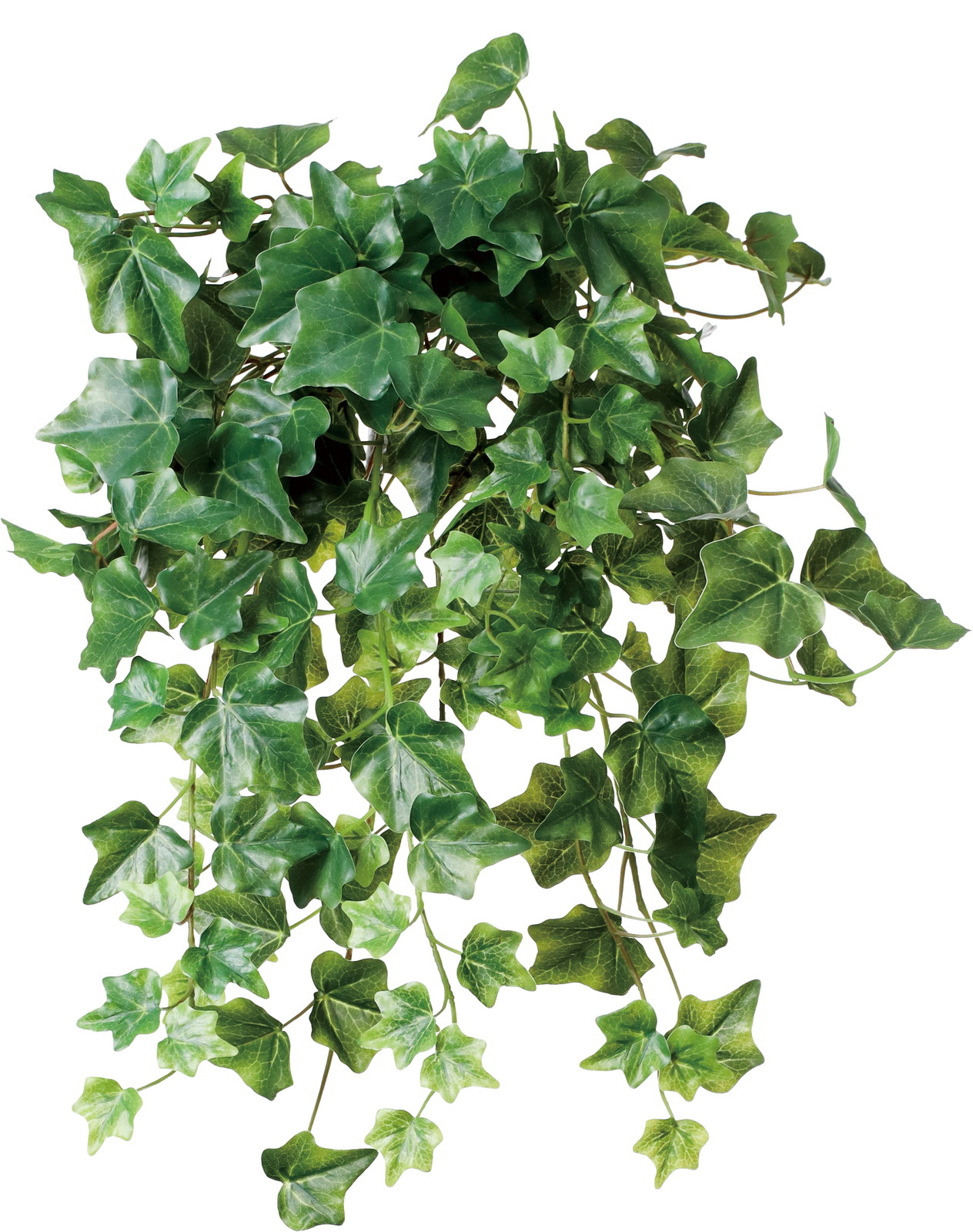 ����く2800 ���ް�ݶް