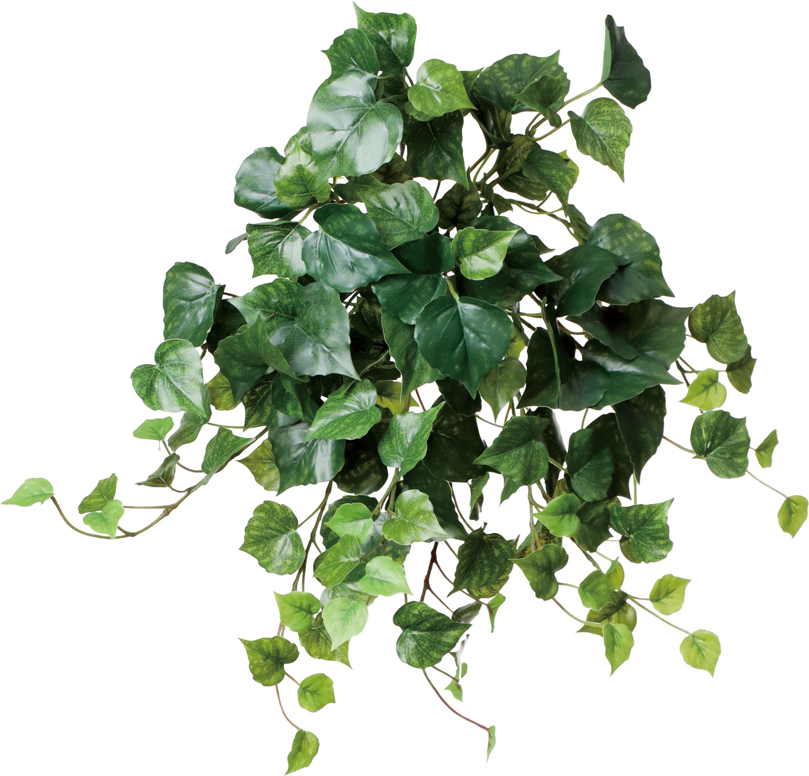 ����く2200 ���ݳ����ޯ���޲�