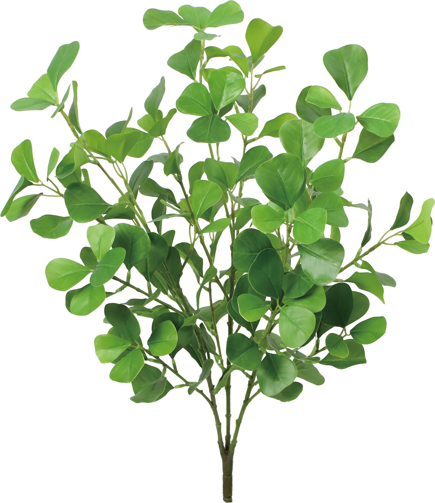 ʰ�ذ��ޯ��