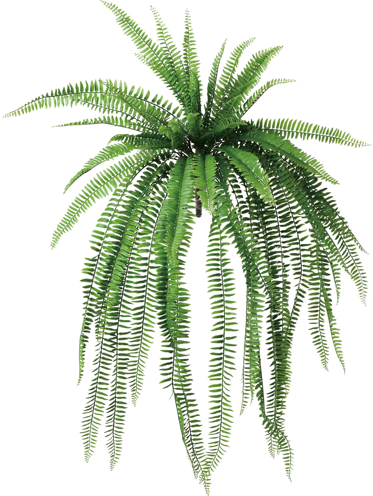 �ެ����޽��̧���ޯ��