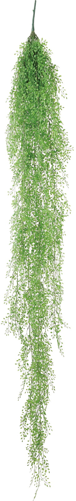 �ݸ�è�ذ��ݶް