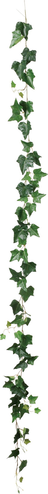 ػ��ٱ��ް�ް����