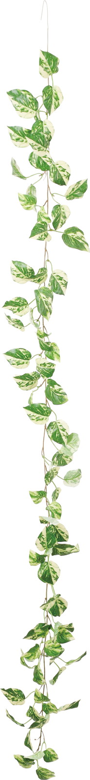 ػ�����Ľ�ް����