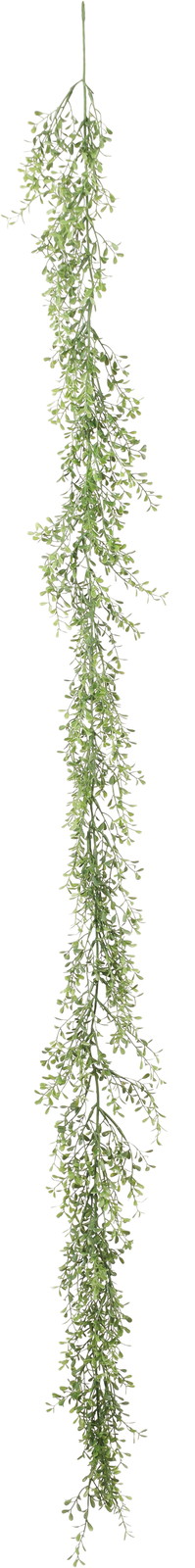 �ޯ�����޶ް����