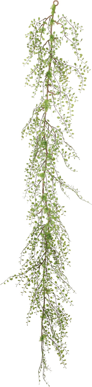 ܲ԰����¶ް����