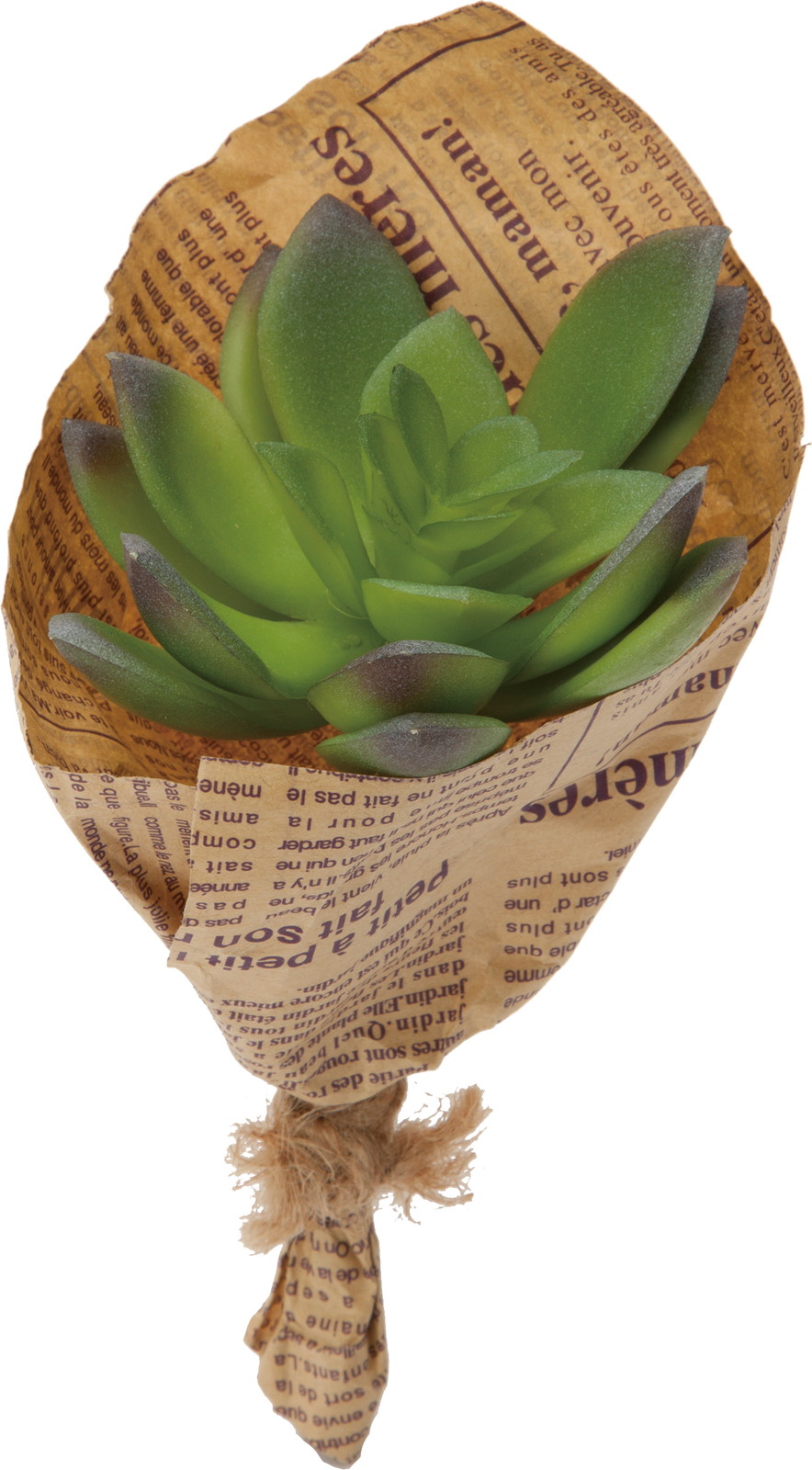 元上代¥126ミニエケベリアブーケ