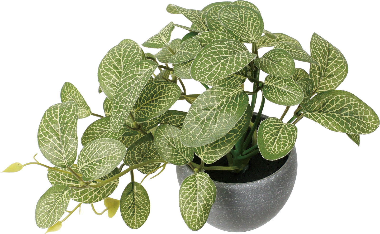 ��̨��Ʊ�߯�