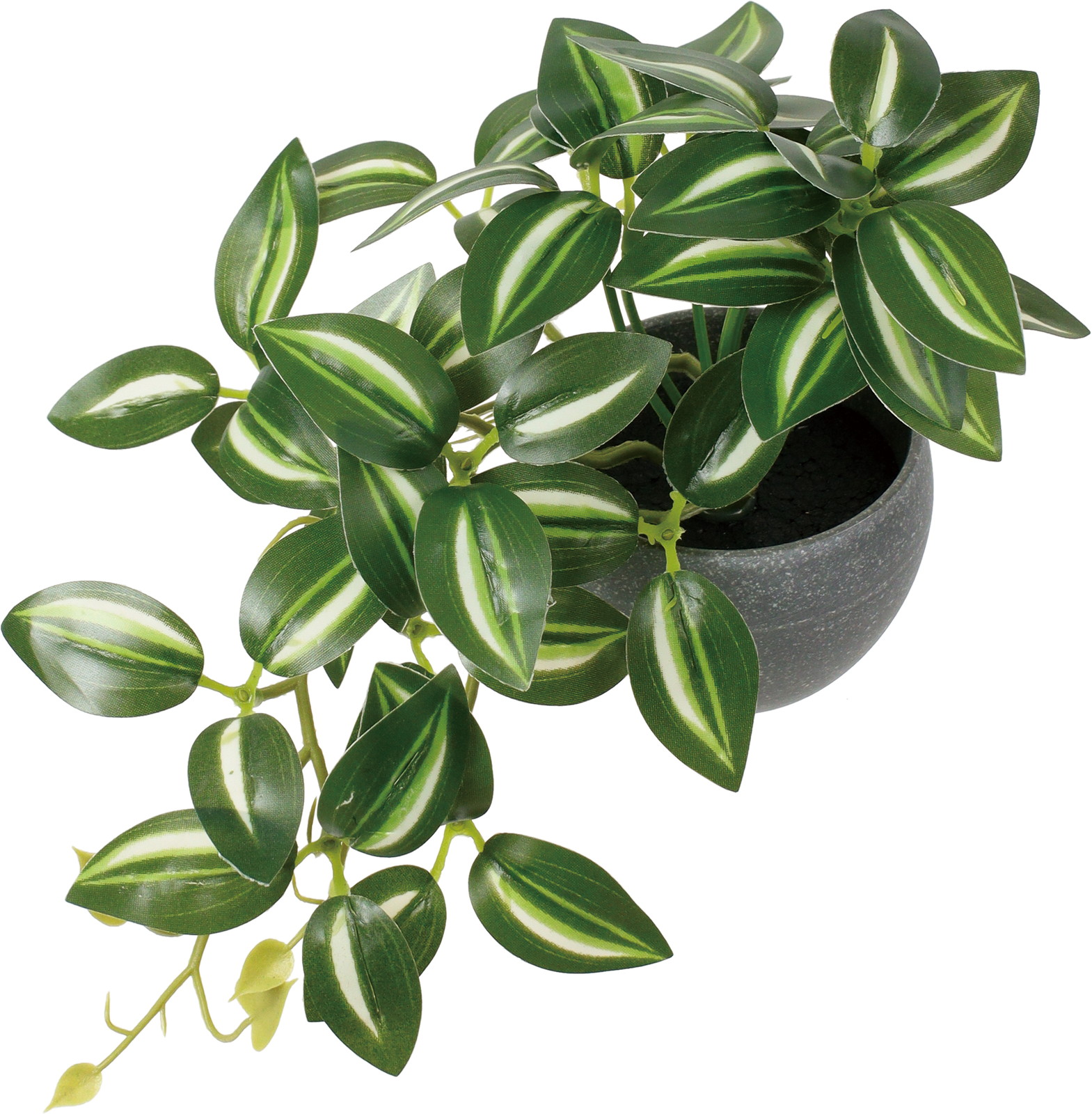 ミニトラディスカンディアポット