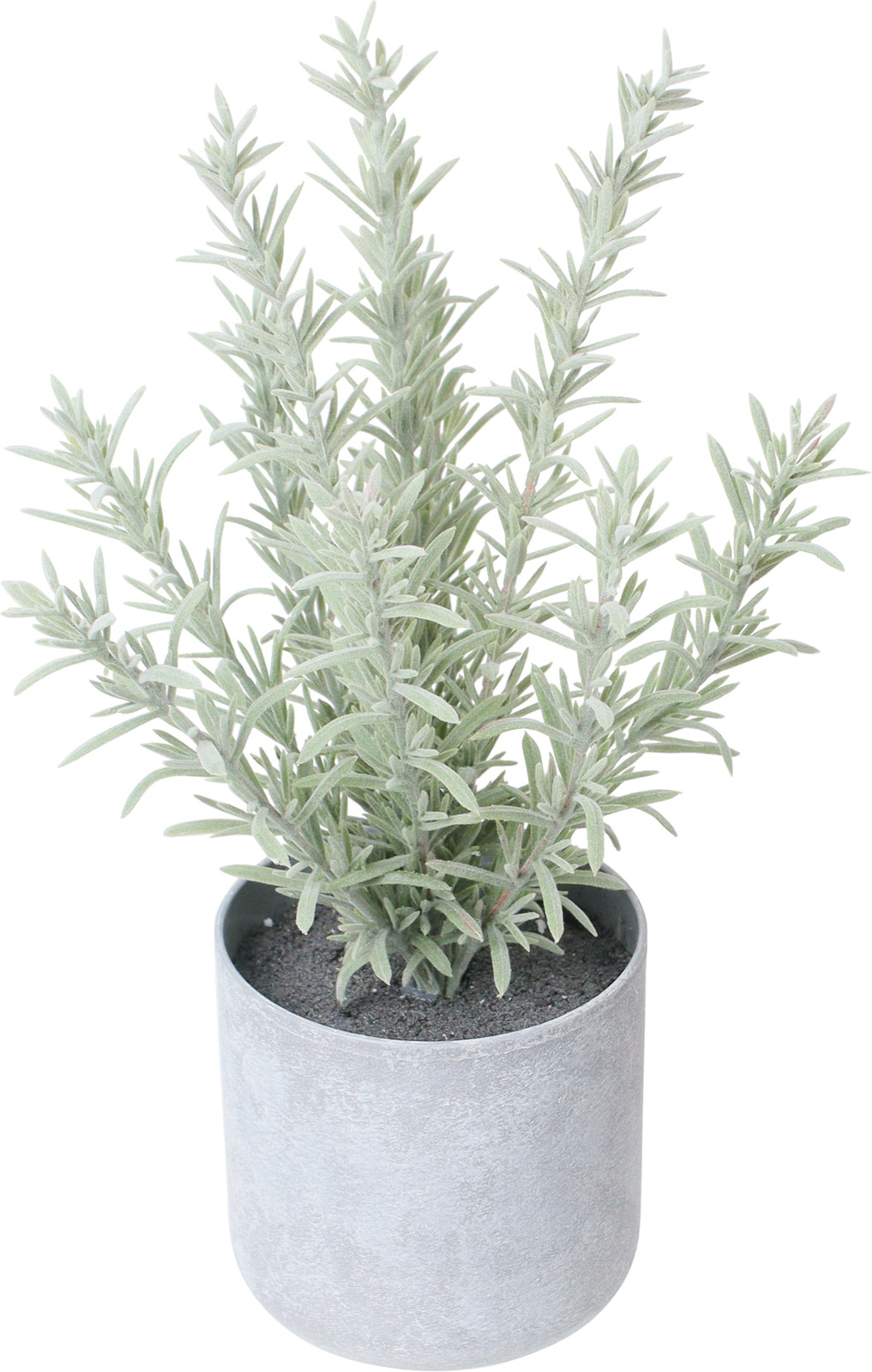 30CM۰���ذ�߯�