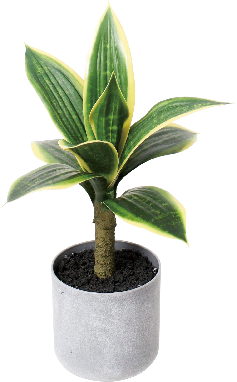 30CM�ݽ��ر�߯�