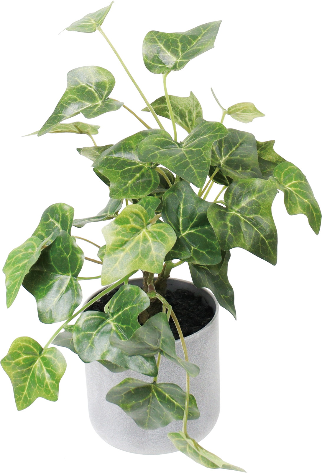 30CM���ް�߯�