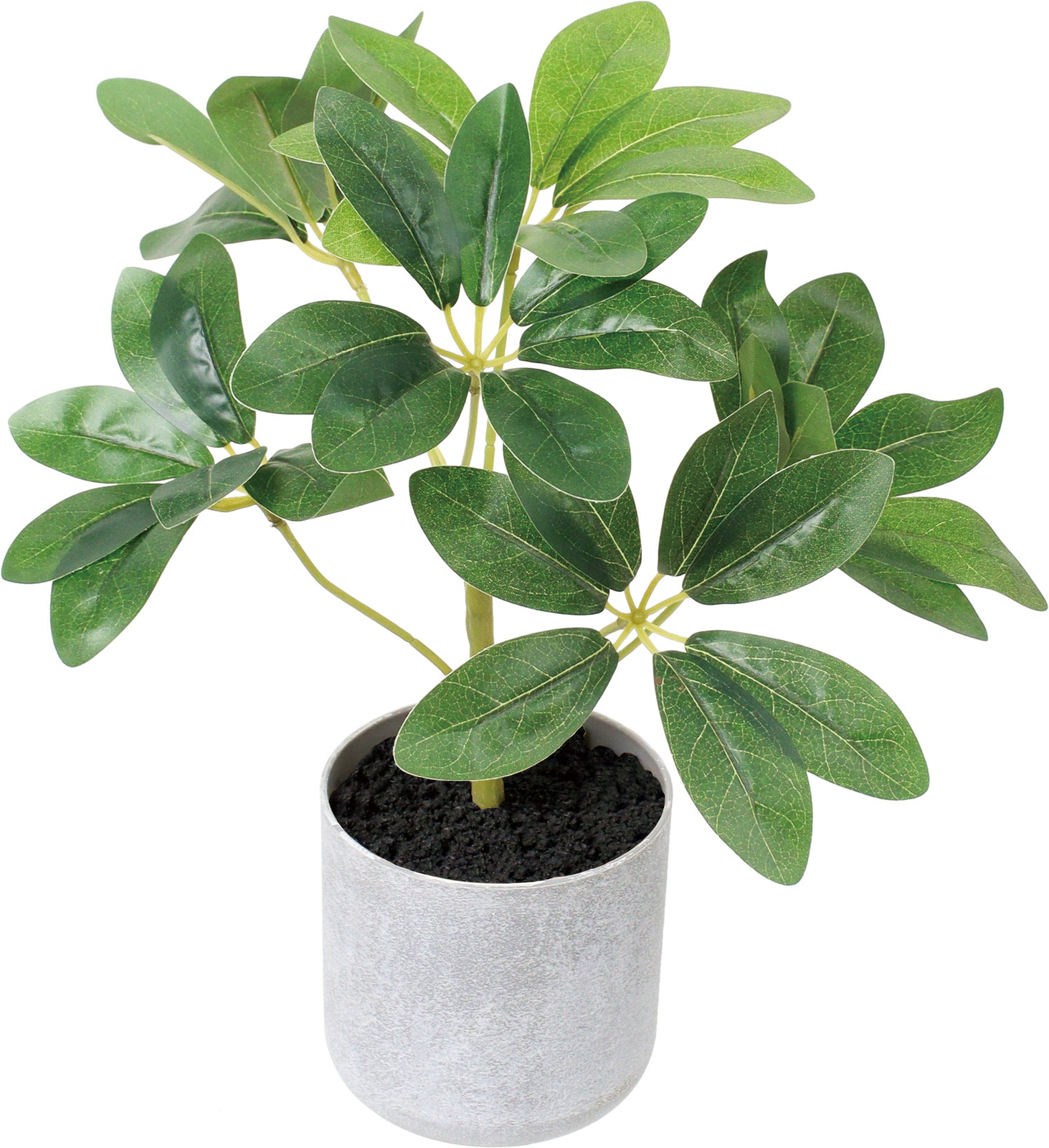 30CM������߯�