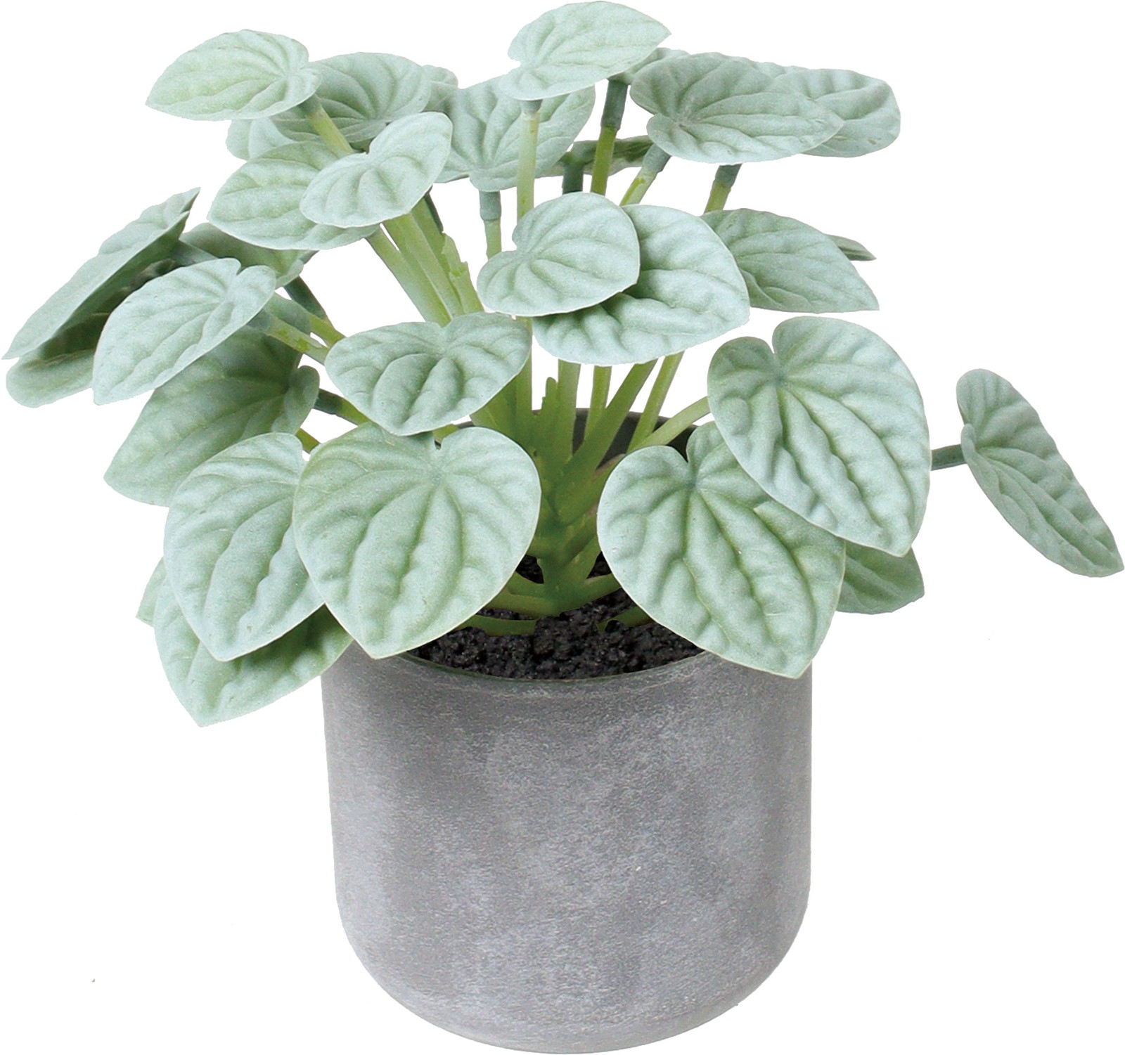 20CM�����б�߯�