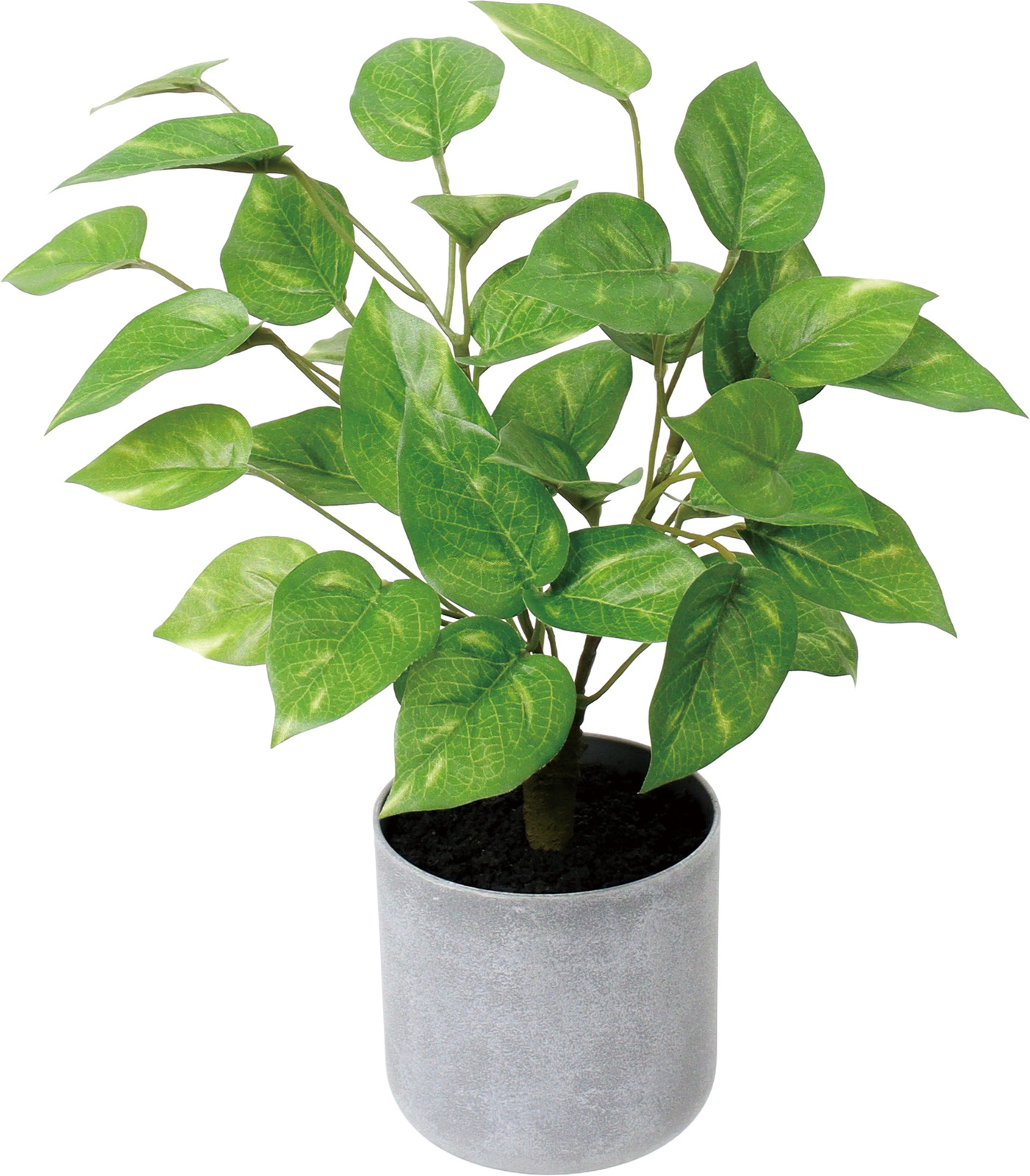 30CM��Ľ�߯�