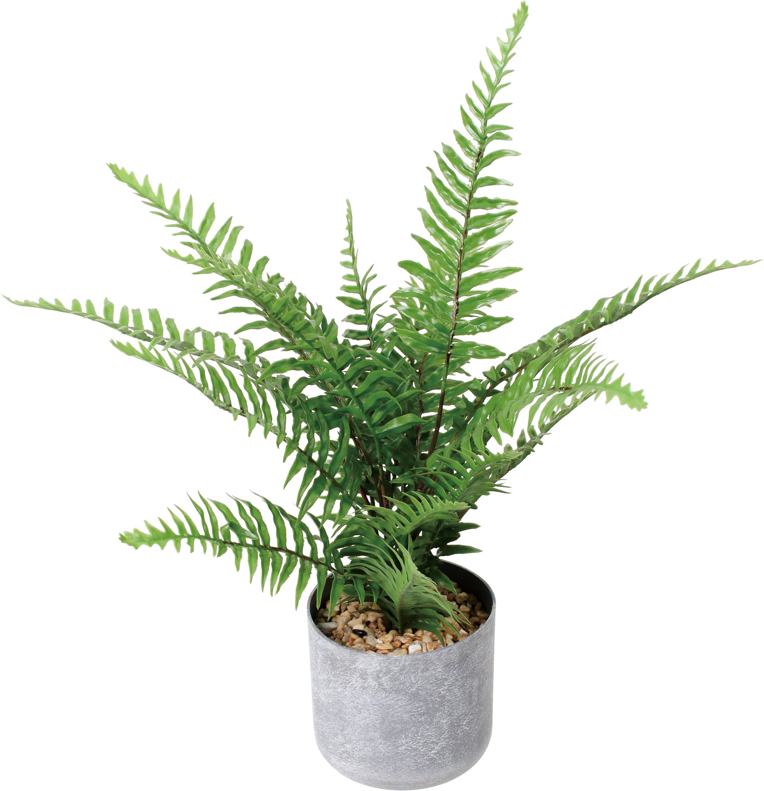 ����く1800 50CM��ް��߯�