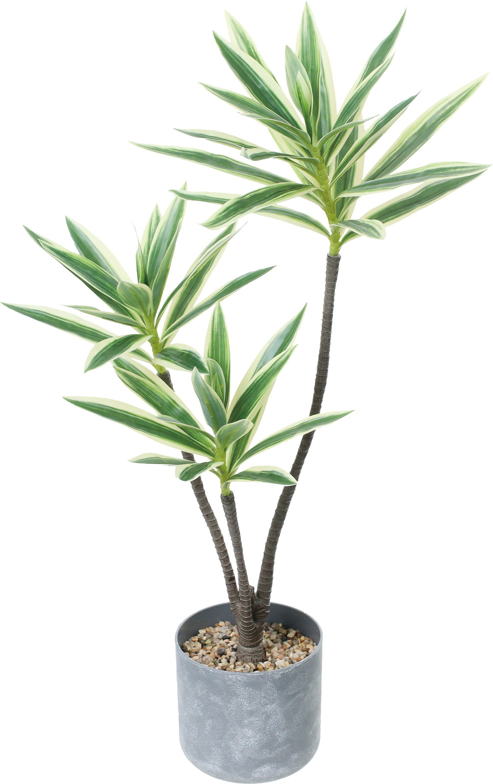 60CM��׾��߯�