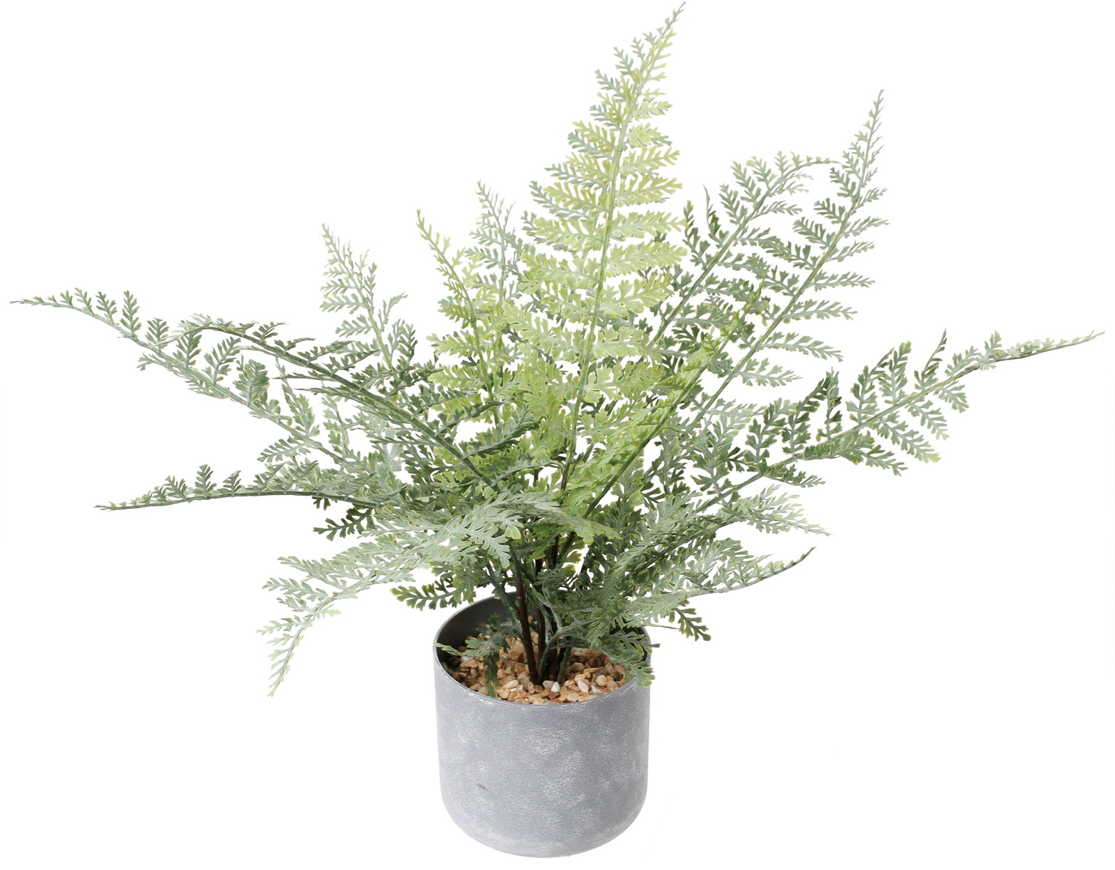 60CM��ް�߯�