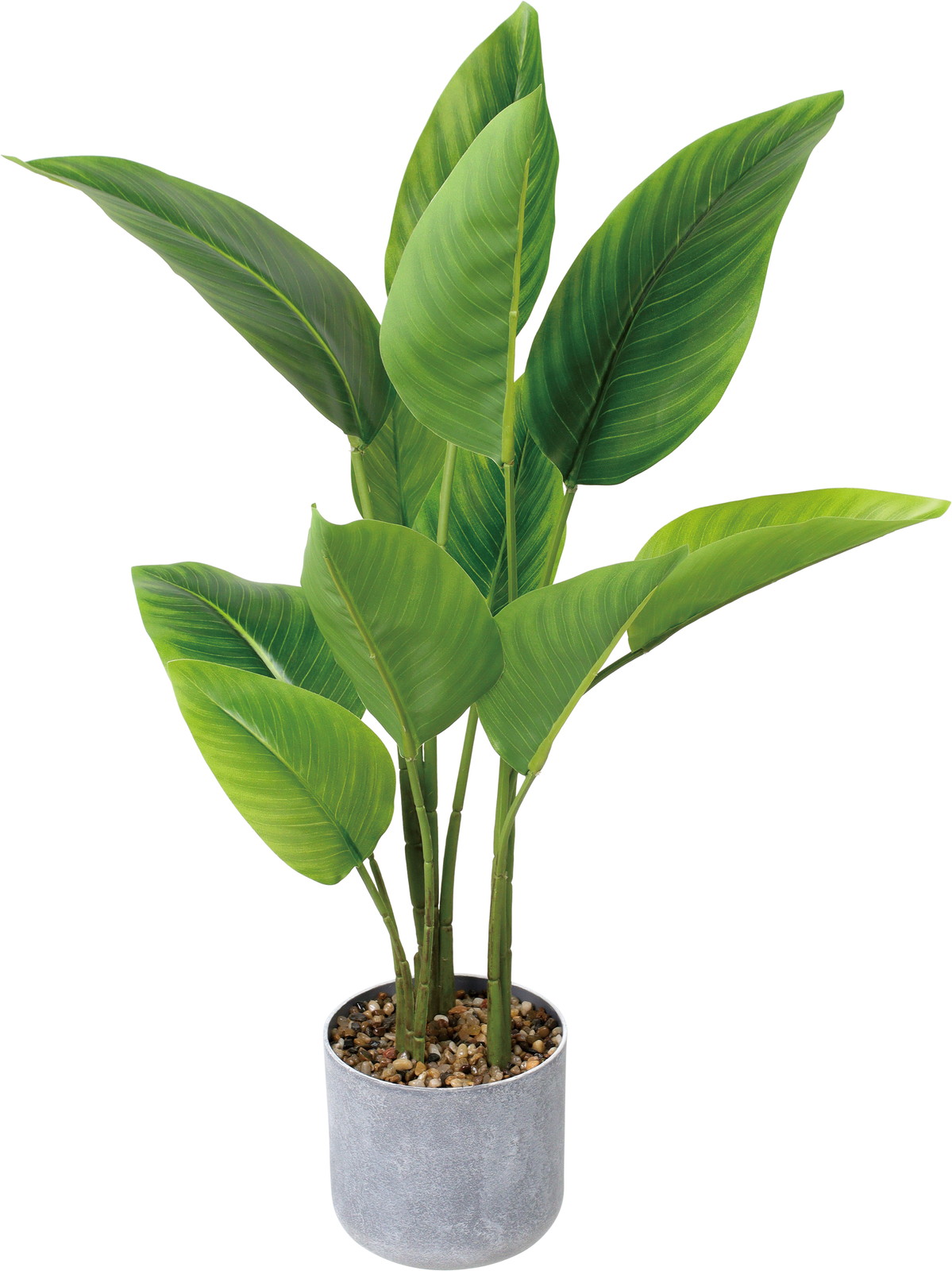 60CM���޽��߯�