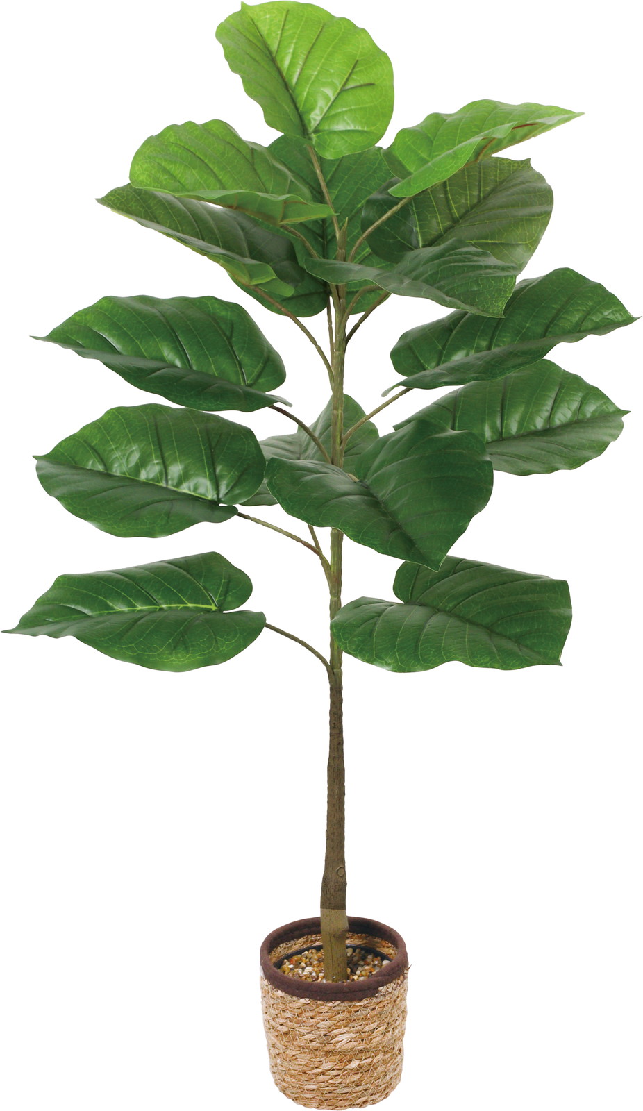 100CM����װ��߯�