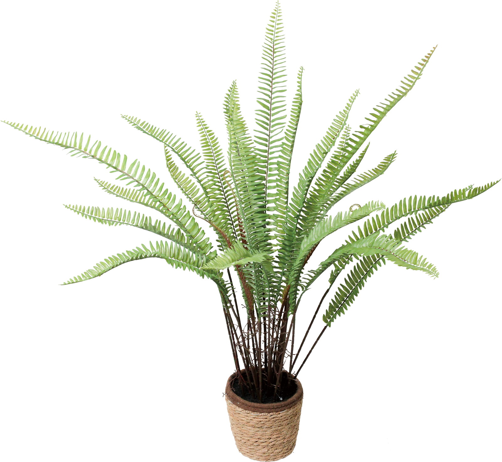 ����く4800 90CM��ް��߯�