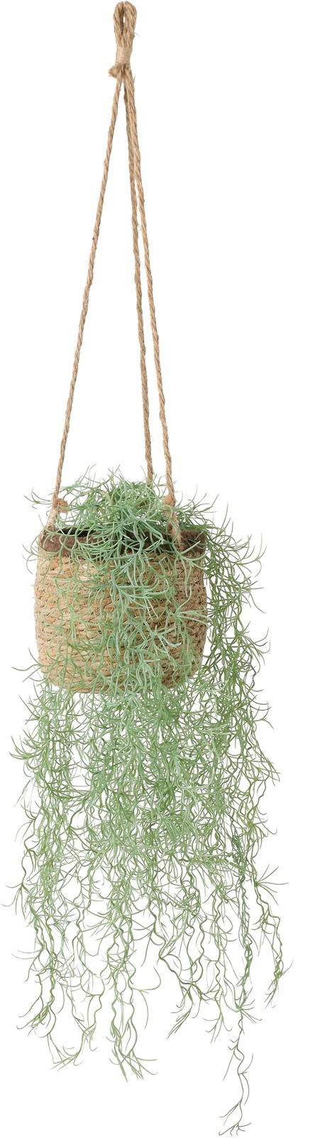 ���Ư��ӽ�ݷ�ݸ�