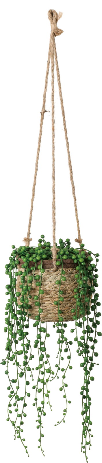 ��ذ�ȯ�ڽ�ݷ�ݸ�