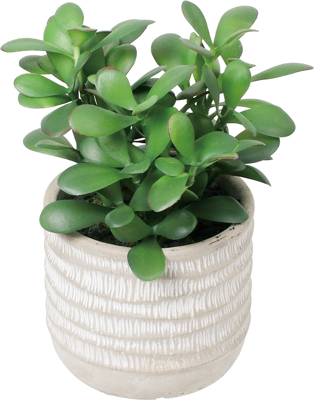 ����ر�߯�