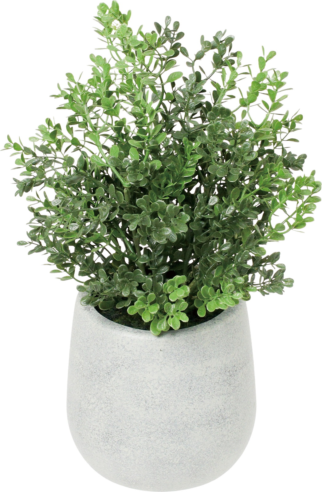 �ޯ�������߯�