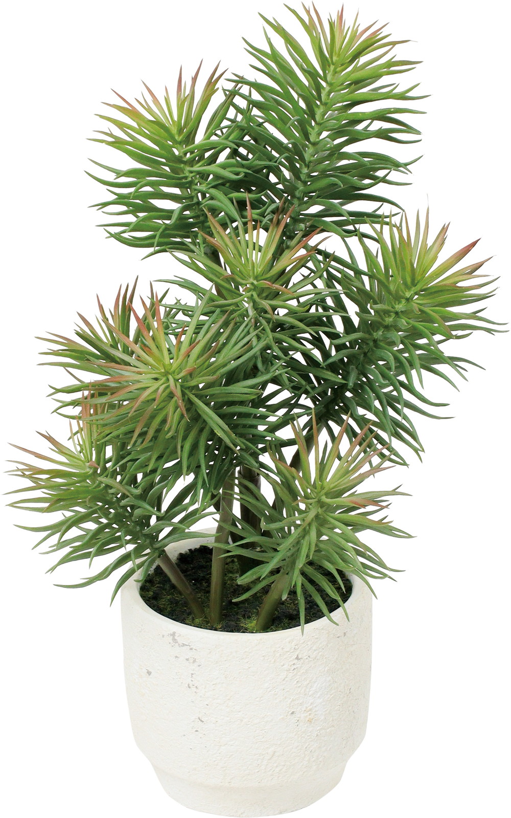 ��������߯�