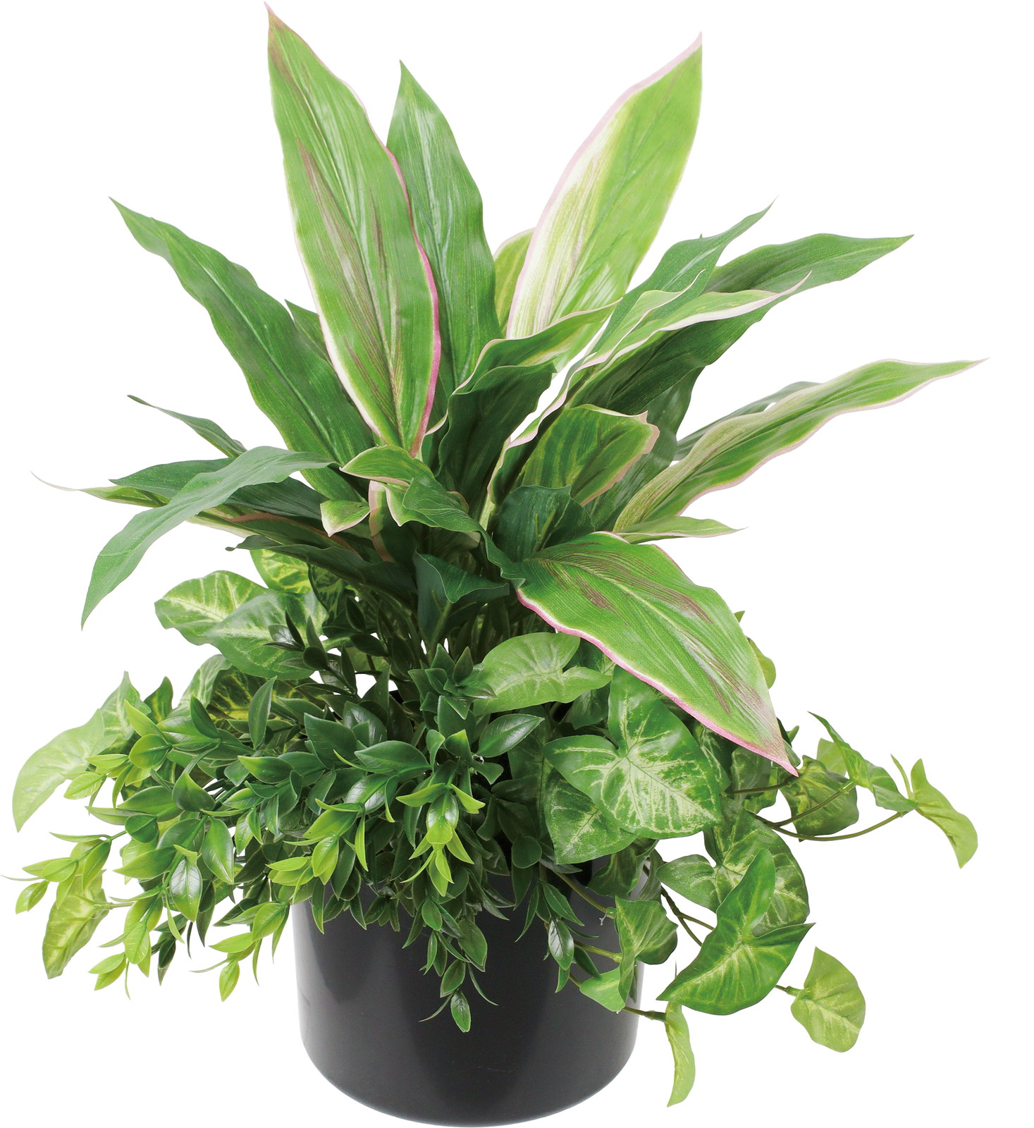 ��׾�Я����ذ��߯�