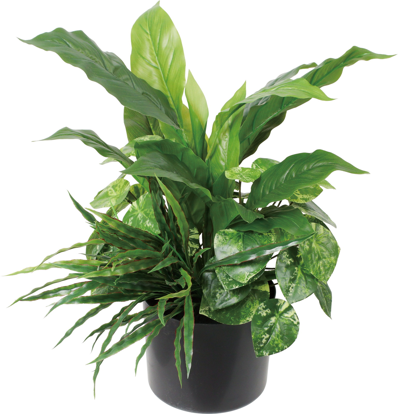 ���ę̀��Я����ذ��߯�