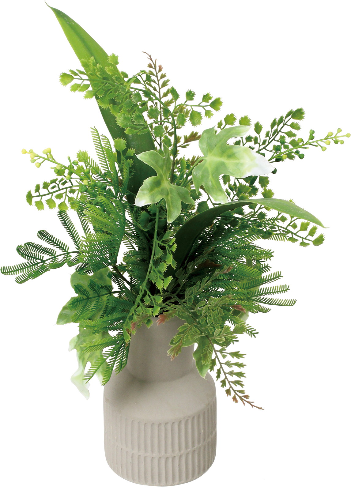 ��ޱ���Я����ݼ�M