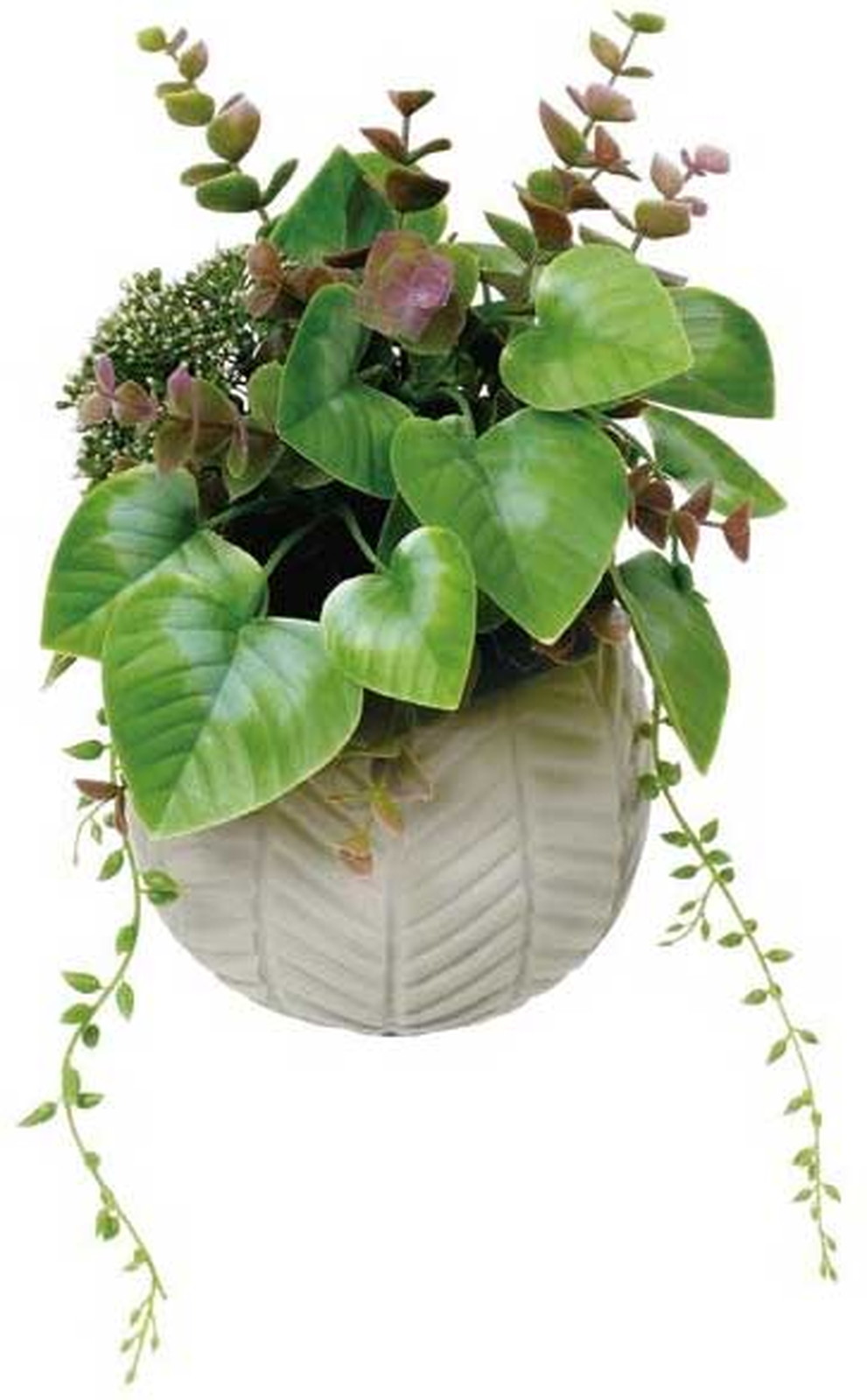 հ��Я��׳��ޱ�ݼ�S