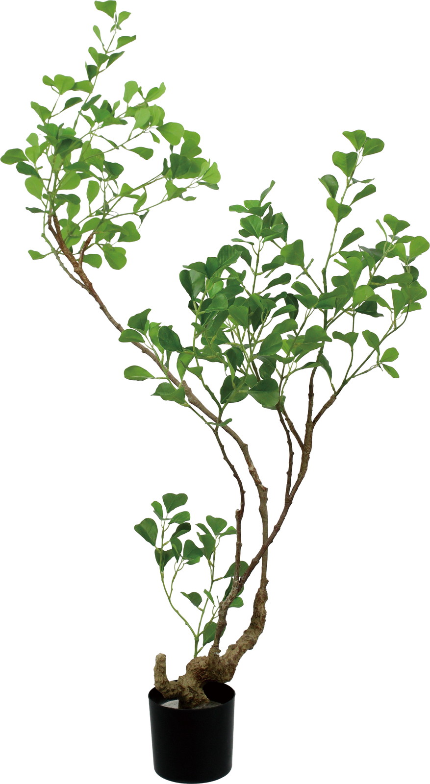 yʓrAz125cm̨ײݷޭ׽