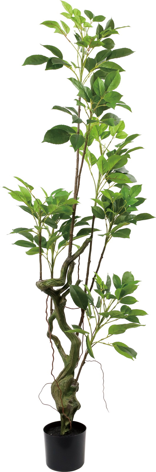 �y�����ʓrB�z180CM����ذ�ذ