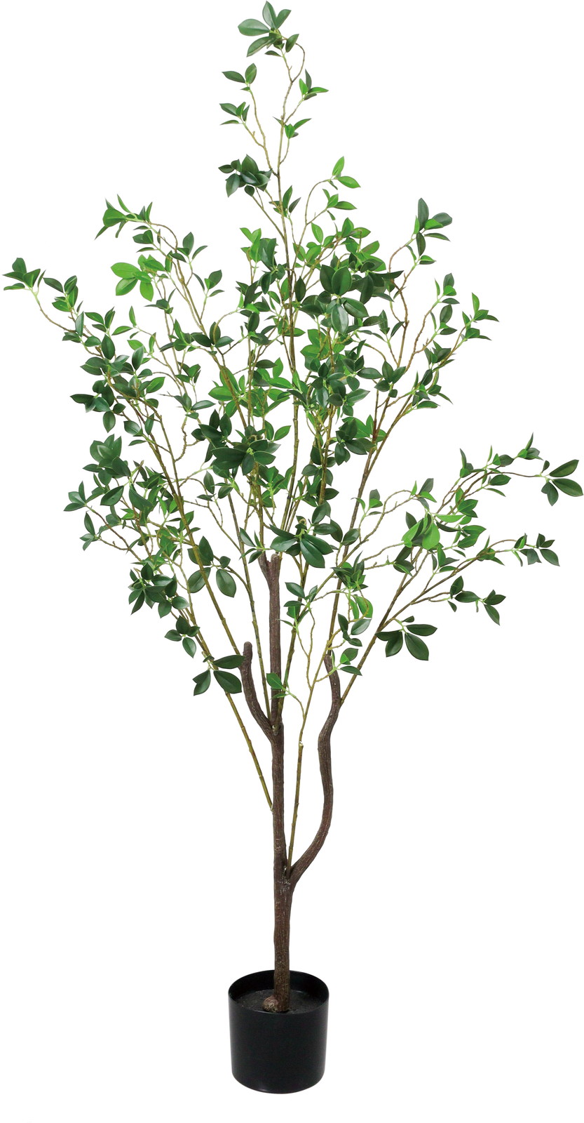 ����く17000 �y�����ʓrA�z150CM�޳���