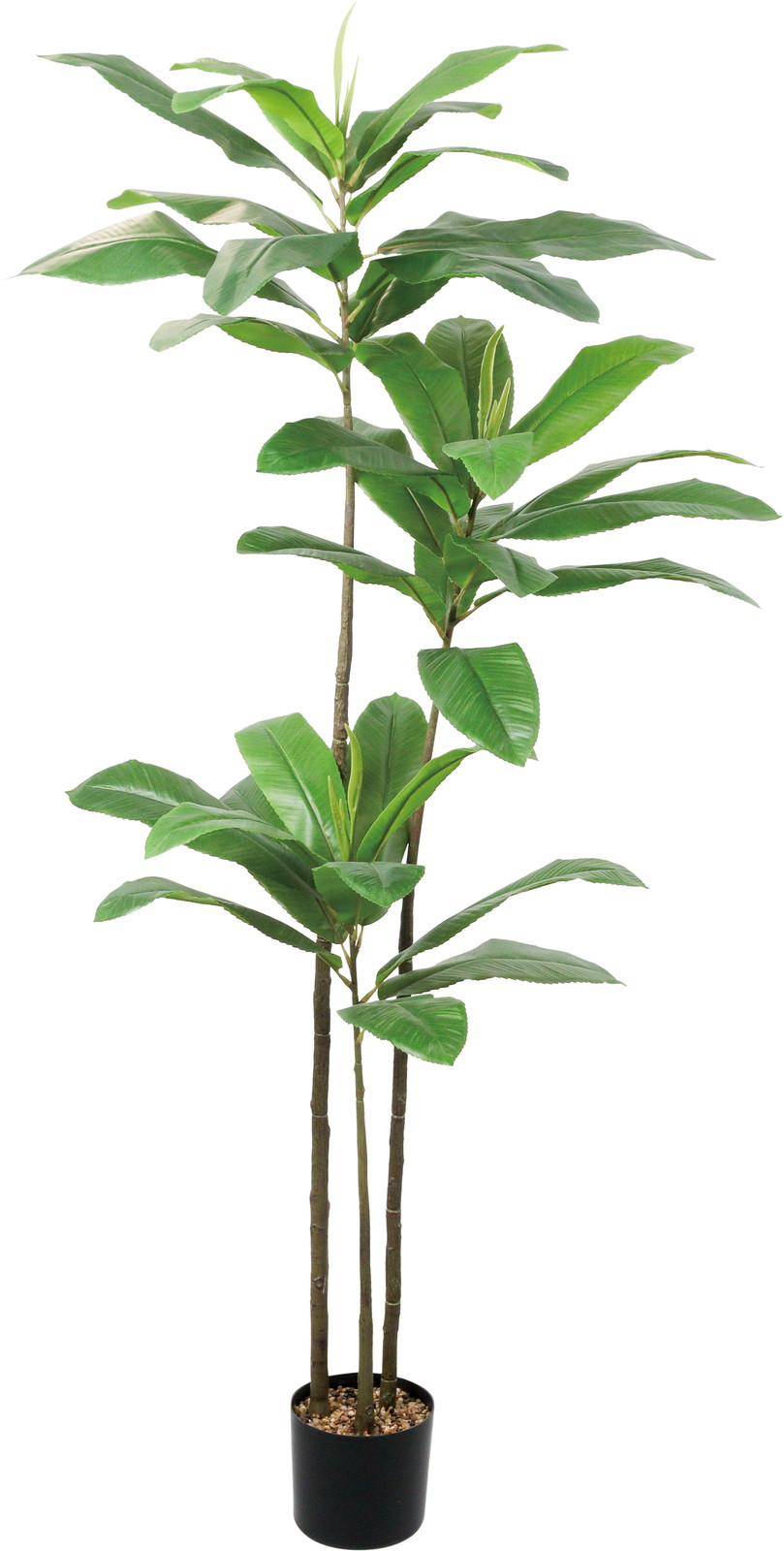 �y�����ʓrB�z180CM��̧�ı����