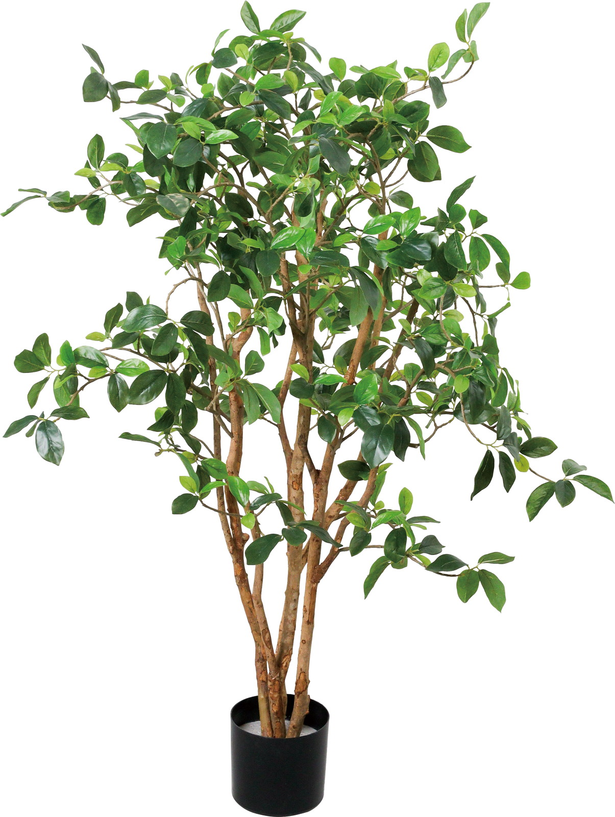 �y�����ʓrA�z130CM�޼ޭ���ذ