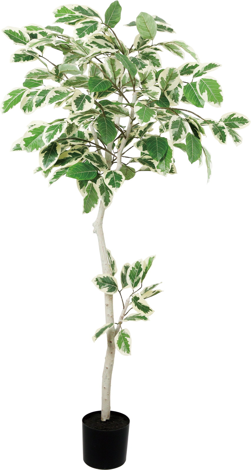 160CM̨����ü�