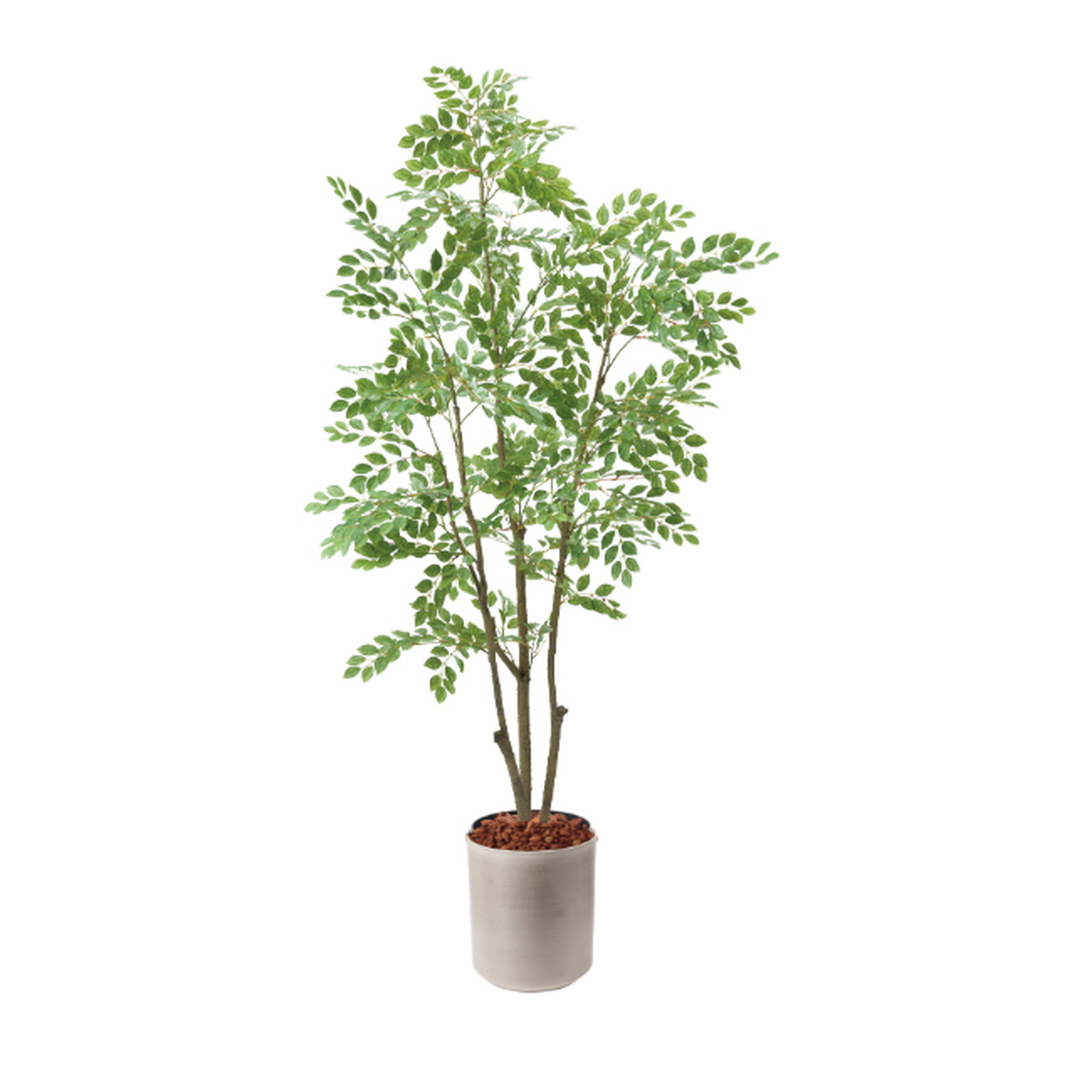 �y5�����ɗ\��z�y�����ʓrB�z180CM��غ